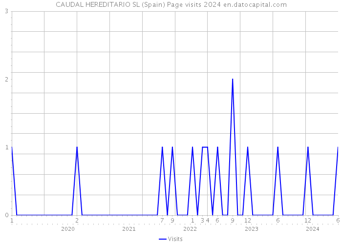 CAUDAL HEREDITARIO SL (Spain) Page visits 2024 