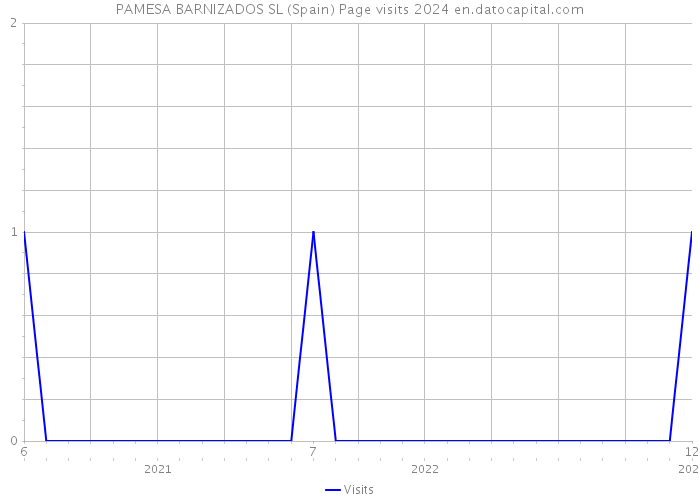 PAMESA BARNIZADOS SL (Spain) Page visits 2024 