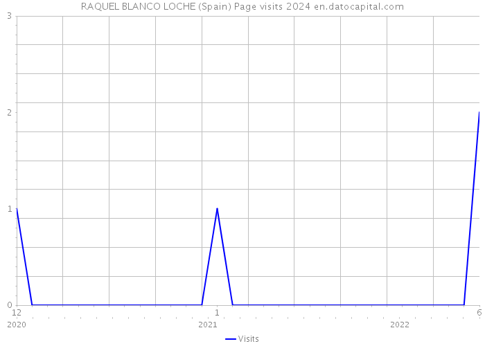 RAQUEL BLANCO LOCHE (Spain) Page visits 2024 