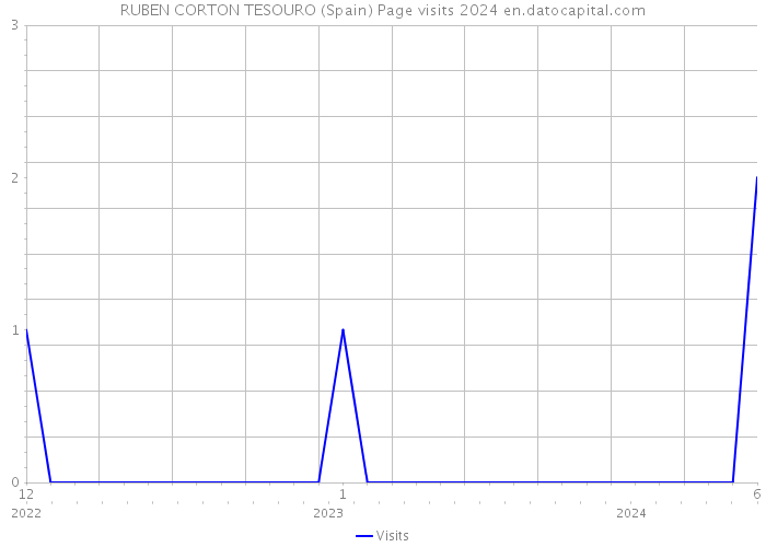 RUBEN CORTON TESOURO (Spain) Page visits 2024 