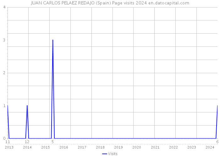 JUAN CARLOS PELAEZ REDAJO (Spain) Page visits 2024 