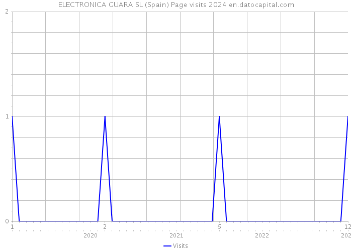 ELECTRONICA GUARA SL (Spain) Page visits 2024 