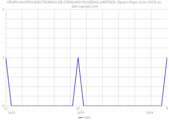 GRUPO RASTRO ELECTRONICA DE CONSUMO SOCIEDAD LIMITADA (Spain) Page visits 2024 