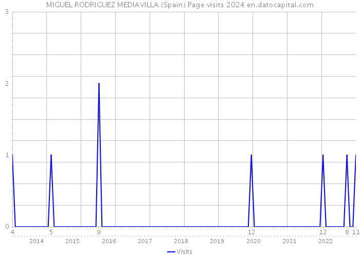 MIGUEL RODRIGUEZ MEDIAVILLA (Spain) Page visits 2024 