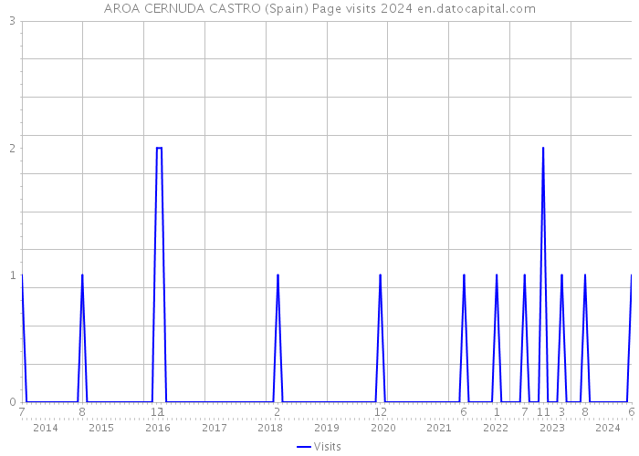 AROA CERNUDA CASTRO (Spain) Page visits 2024 