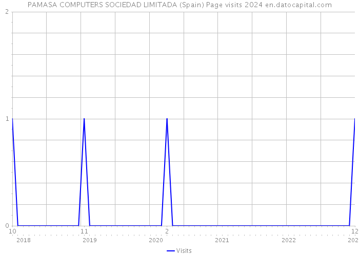 PAMASA COMPUTERS SOCIEDAD LIMITADA (Spain) Page visits 2024 