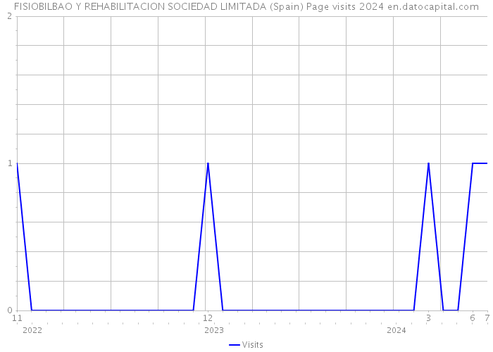 FISIOBILBAO Y REHABILITACION SOCIEDAD LIMITADA (Spain) Page visits 2024 