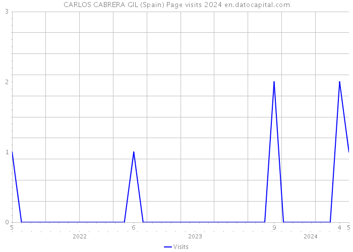 CARLOS CABRERA GIL (Spain) Page visits 2024 