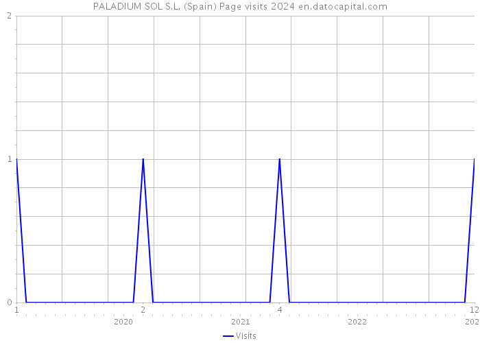 PALADIUM SOL S.L. (Spain) Page visits 2024 