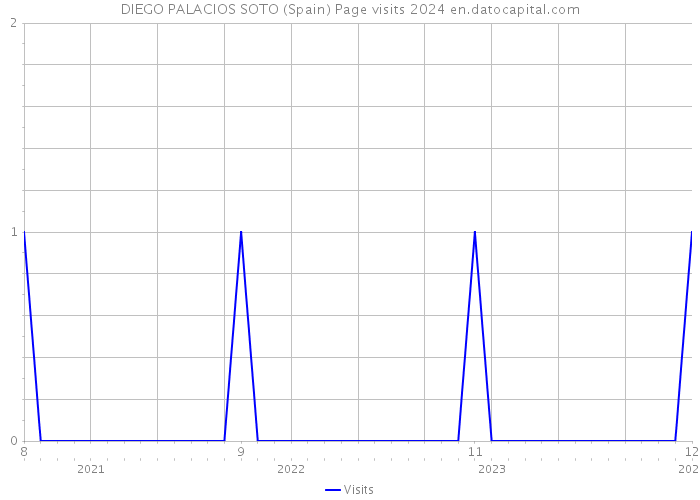 DIEGO PALACIOS SOTO (Spain) Page visits 2024 