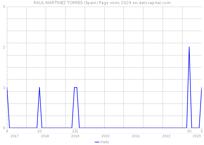 RAUL MARTINEZ TORRES (Spain) Page visits 2024 