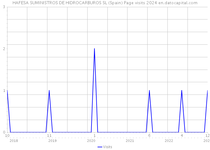 HAFESA SUMINISTROS DE HIDROCARBUROS SL (Spain) Page visits 2024 