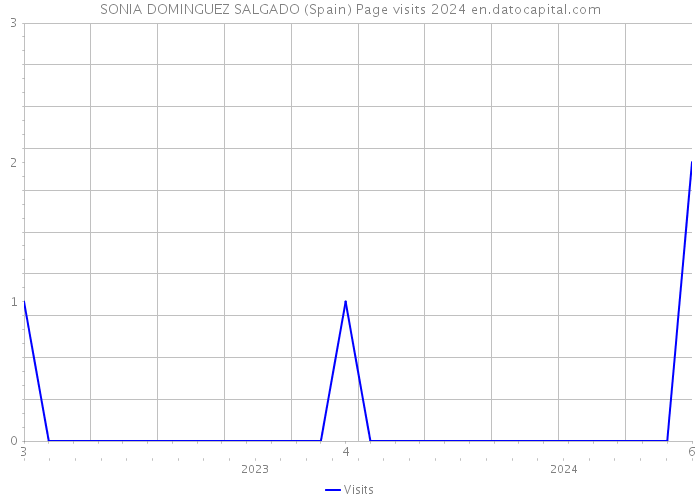 SONIA DOMINGUEZ SALGADO (Spain) Page visits 2024 