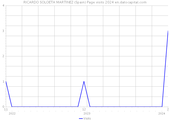 RICARDO SOLOETA MARTINEZ (Spain) Page visits 2024 