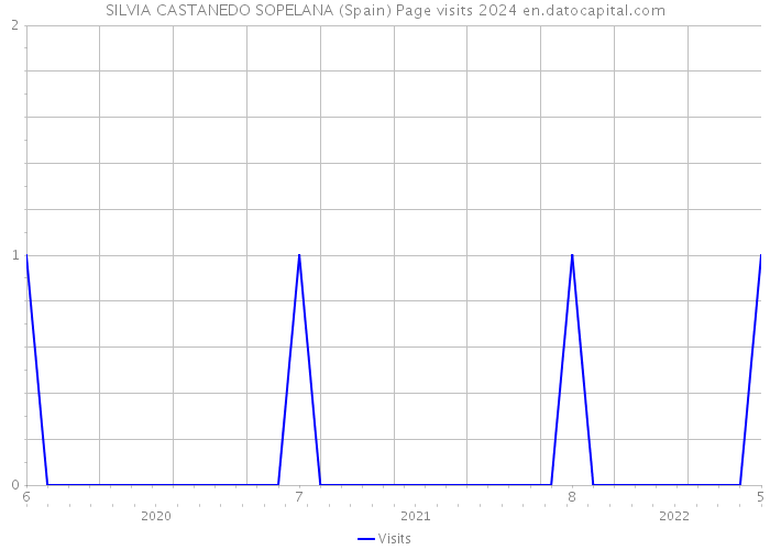 SILVIA CASTANEDO SOPELANA (Spain) Page visits 2024 