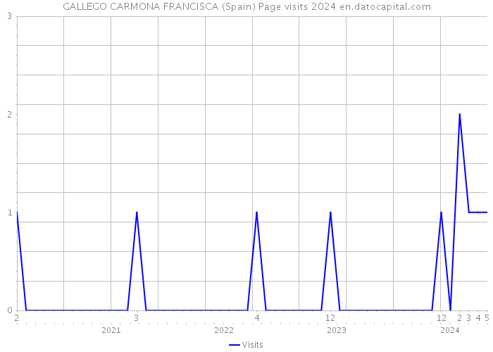 GALLEGO CARMONA FRANCISCA (Spain) Page visits 2024 