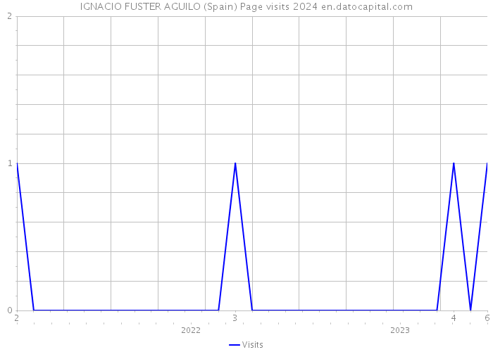 IGNACIO FUSTER AGUILO (Spain) Page visits 2024 