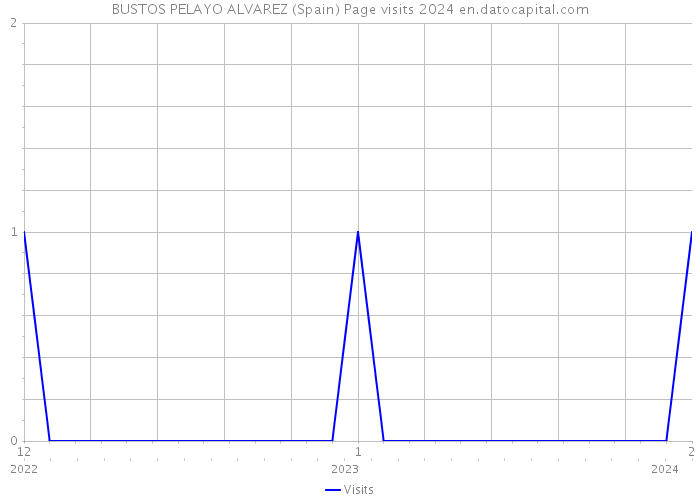 BUSTOS PELAYO ALVAREZ (Spain) Page visits 2024 