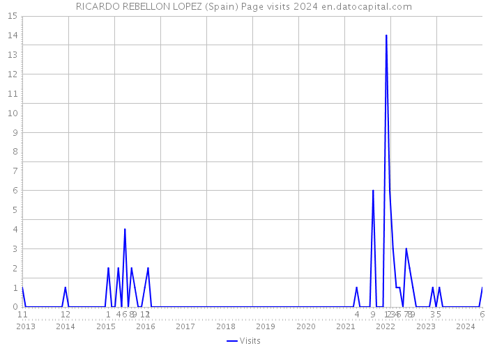 RICARDO REBELLON LOPEZ (Spain) Page visits 2024 