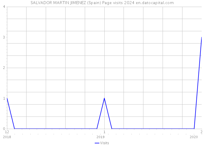 SALVADOR MARTIN JIMENEZ (Spain) Page visits 2024 