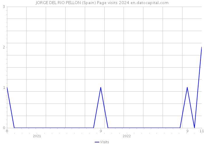 JORGE DEL RIO PELLON (Spain) Page visits 2024 