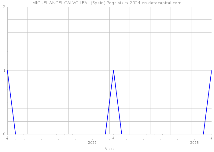 MIGUEL ANGEL CALVO LEAL (Spain) Page visits 2024 