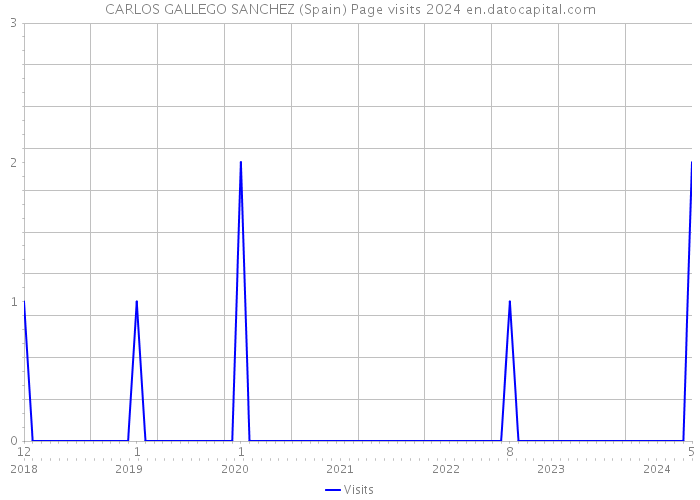 CARLOS GALLEGO SANCHEZ (Spain) Page visits 2024 