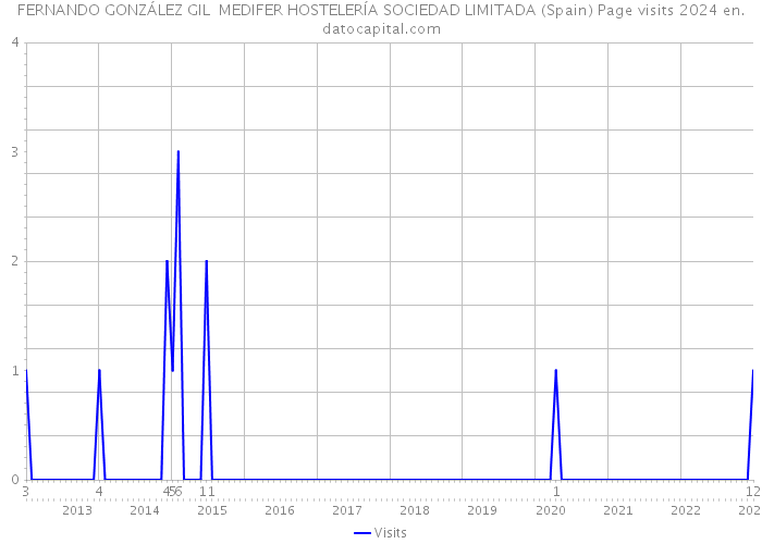 FERNANDO GONZÁLEZ GIL MEDIFER HOSTELERÍA SOCIEDAD LIMITADA (Spain) Page visits 2024 