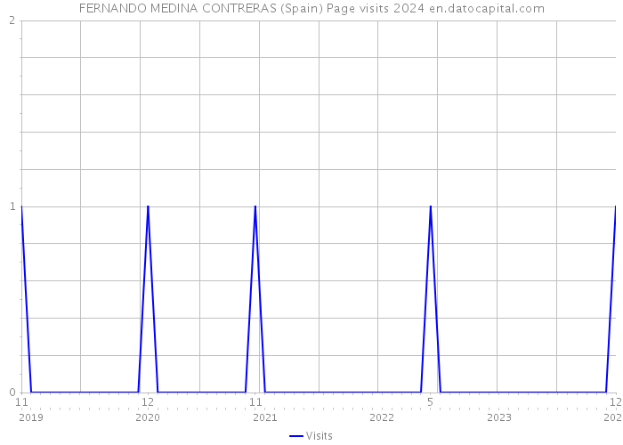 FERNANDO MEDINA CONTRERAS (Spain) Page visits 2024 