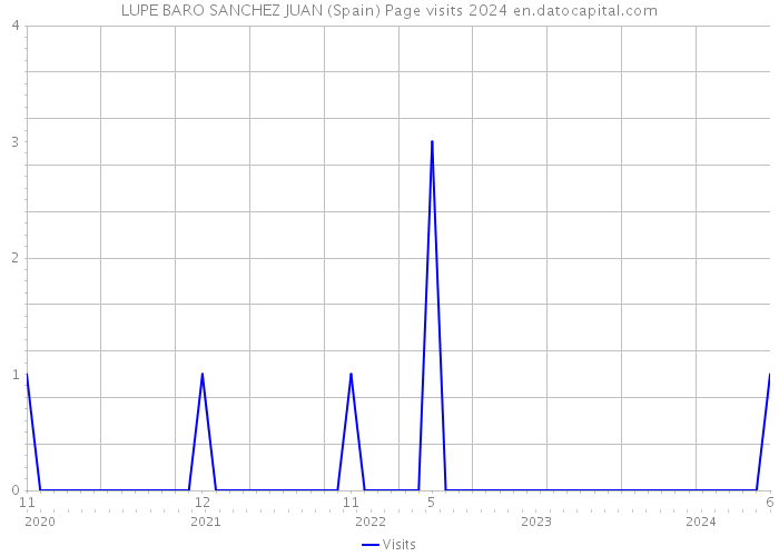 LUPE BARO SANCHEZ JUAN (Spain) Page visits 2024 