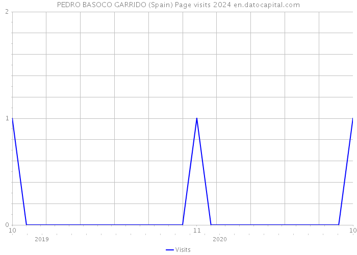 PEDRO BASOCO GARRIDO (Spain) Page visits 2024 