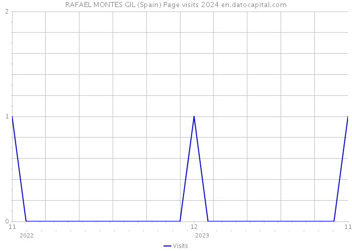 RAFAEL MONTES GIL (Spain) Page visits 2024 