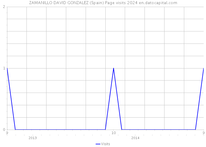 ZAMANILLO DAVID GONZALEZ (Spain) Page visits 2024 
