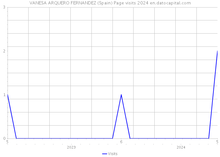 VANESA ARQUERO FERNANDEZ (Spain) Page visits 2024 