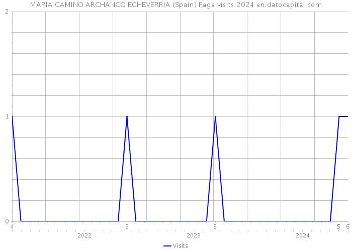 MARIA CAMINO ARCHANCO ECHEVERRIA (Spain) Page visits 2024 