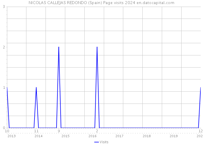 NICOLAS CALLEJAS REDONDO (Spain) Page visits 2024 