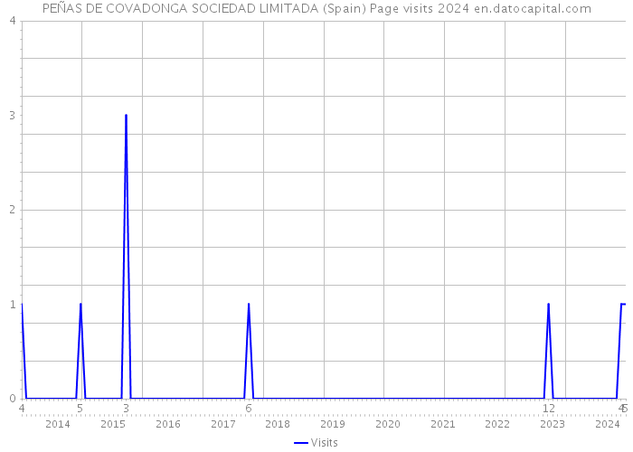 PEÑAS DE COVADONGA SOCIEDAD LIMITADA (Spain) Page visits 2024 