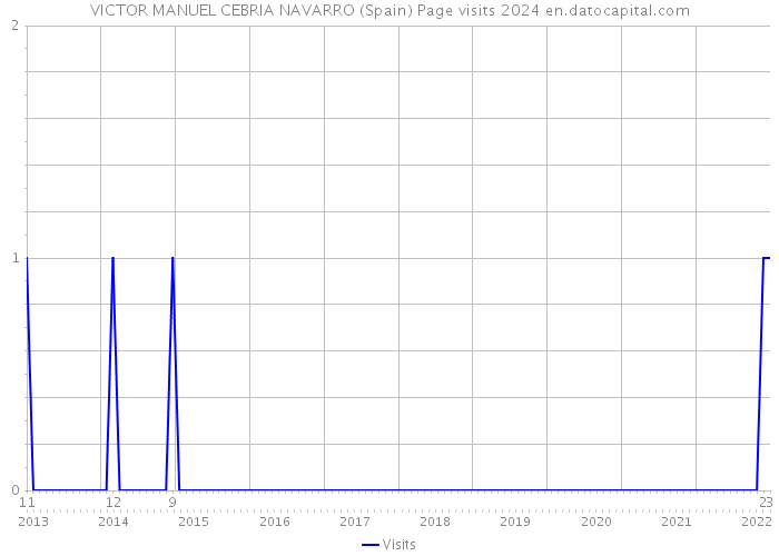 VICTOR MANUEL CEBRIA NAVARRO (Spain) Page visits 2024 
