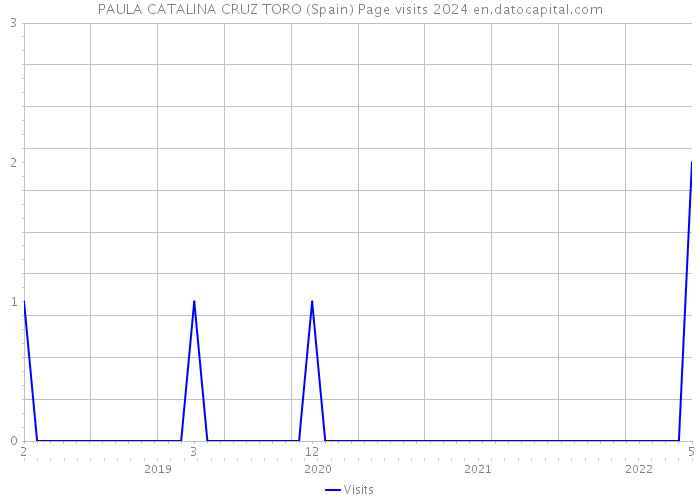 PAULA CATALINA CRUZ TORO (Spain) Page visits 2024 