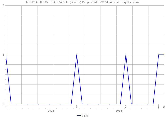 NEUMATICOS LIZARRA S.L. (Spain) Page visits 2024 