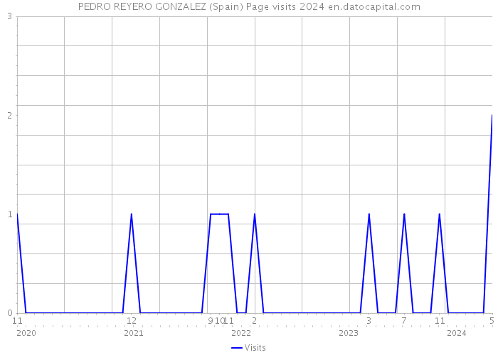 PEDRO REYERO GONZALEZ (Spain) Page visits 2024 