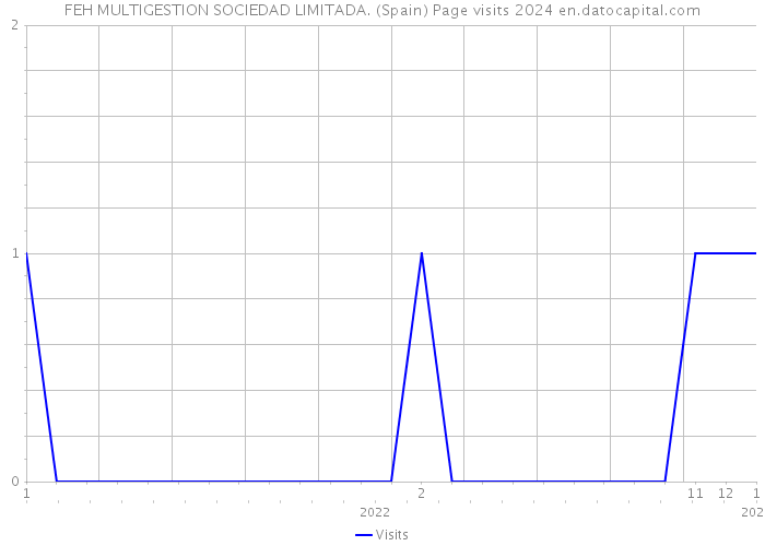 FEH MULTIGESTION SOCIEDAD LIMITADA. (Spain) Page visits 2024 