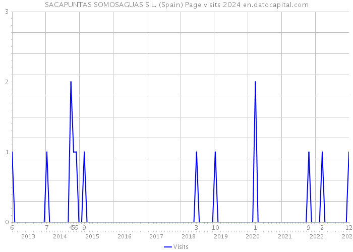 SACAPUNTAS SOMOSAGUAS S.L. (Spain) Page visits 2024 