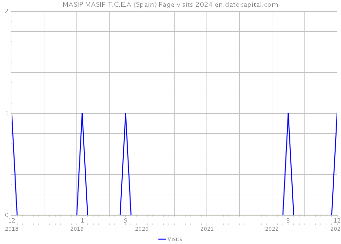 MASIP MASIP T.C.E.A (Spain) Page visits 2024 