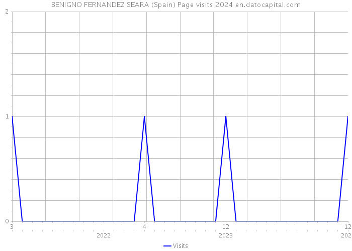 BENIGNO FERNANDEZ SEARA (Spain) Page visits 2024 