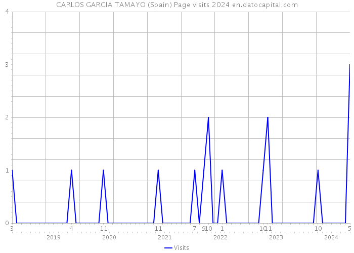 CARLOS GARCIA TAMAYO (Spain) Page visits 2024 