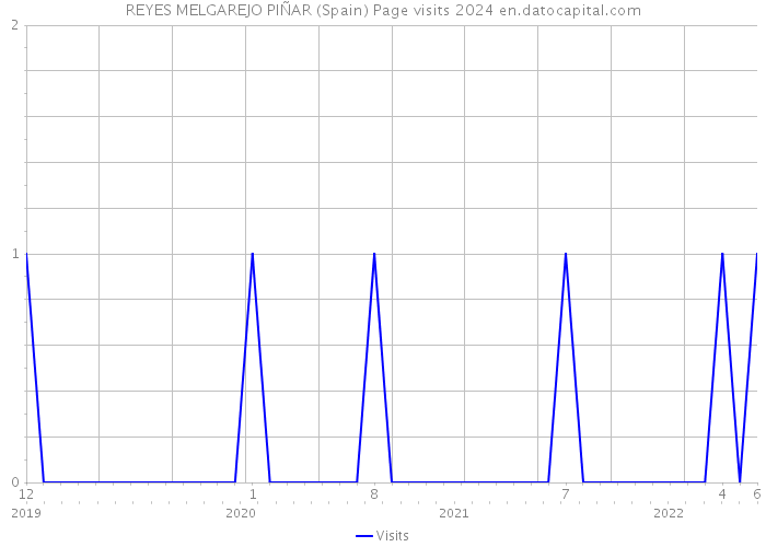 REYES MELGAREJO PIÑAR (Spain) Page visits 2024 