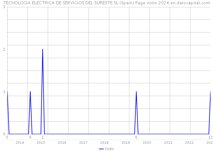 TECNOLOGIA ELECTRICA DE SERVICIOS DEL SURESTE SL (Spain) Page visits 2024 