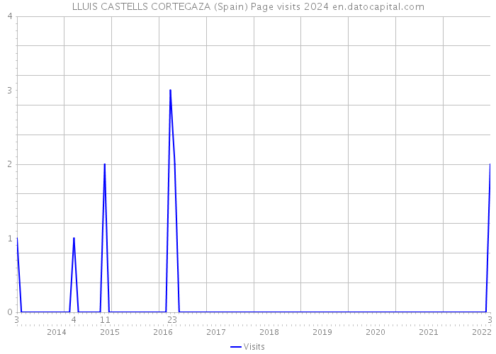 LLUIS CASTELLS CORTEGAZA (Spain) Page visits 2024 