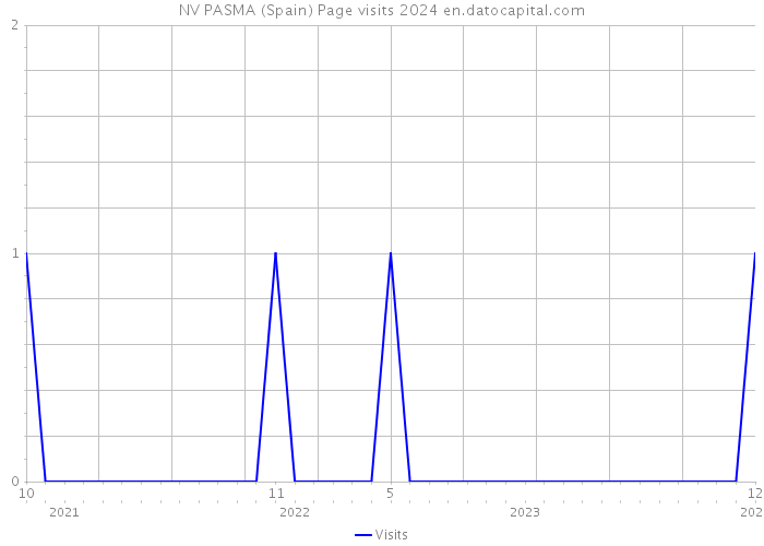 NV PASMA (Spain) Page visits 2024 